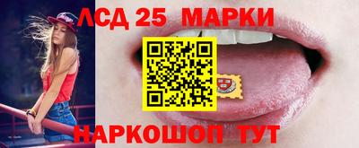 шишки Пенза
