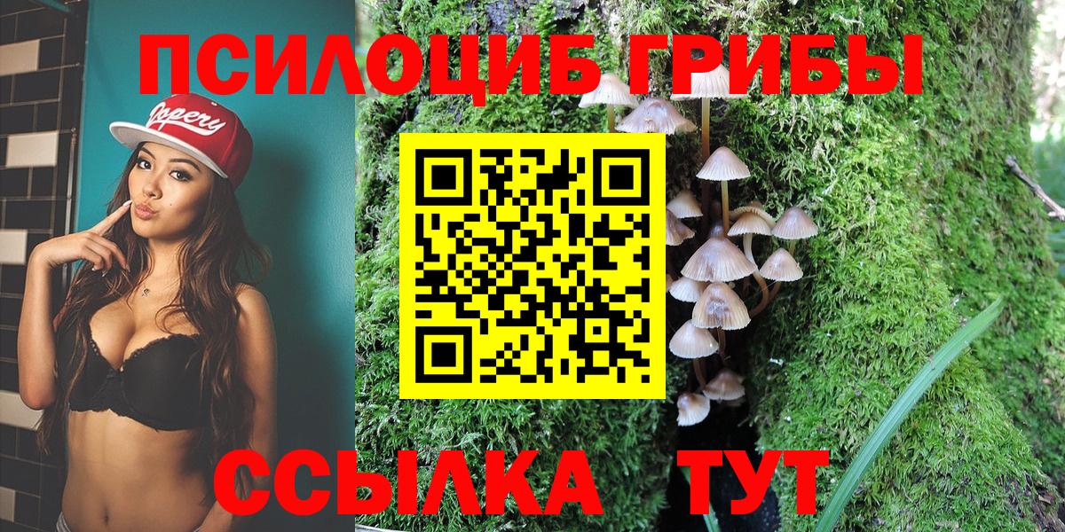 Псилоцибиновые грибы Psilocybe  Вход с VPN  наркота  Галлюциногенные грибы Magic Shrooms  Семёнов 